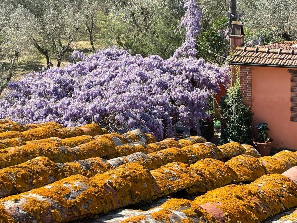 Agriturismo Podere Marchiano Villa Larciano Exterior photo